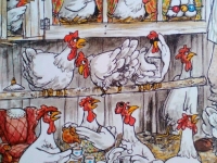 0d60cb8b6dfb9ea4e0605fa8c7945b1c
