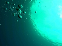 IMG-aa54c93303304e1ff24d2da041b05c2c-V